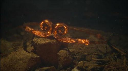 悟空外媒爆料最新消息,外媒最新热点资讯大盘点